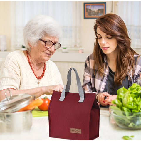 Geanta Termoizolanta Tip Bento Bag Camping Cooler, Aluminiu, 22.5x13x25,5 cm, 3.3 L, Visiniu [4]