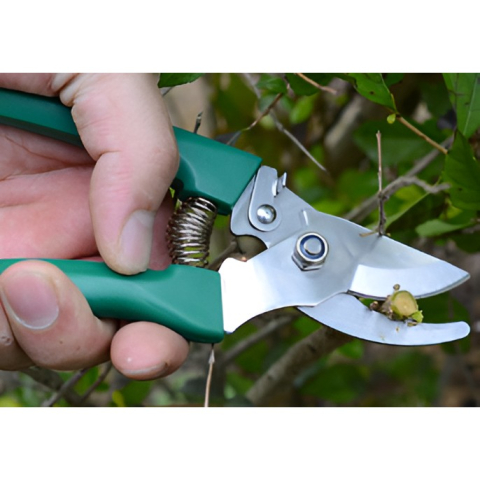 Set 12 Unelte de Gradina, pentru Plantare Prelucrare Sol si Ingrijire Plante, Material PVC si Otel, Cutie Inclusa, 38 x 29 cm, Verde Deschis [13]