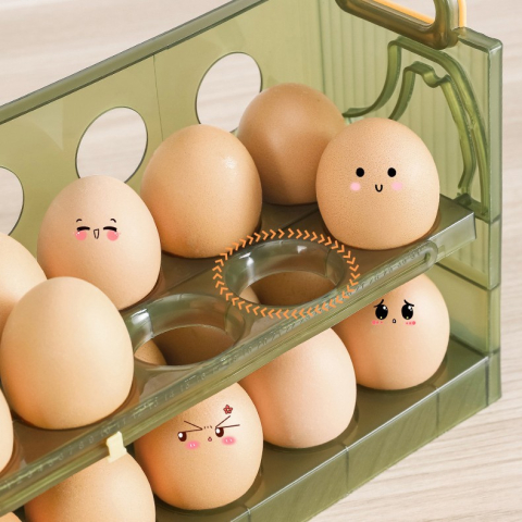 Suport - Organizator pentru Oua in Frigider, pentru 20 de oua in 2 Straturi, din Plastic 25.5 x 10 x 17 cm, Verde Transparent [1]