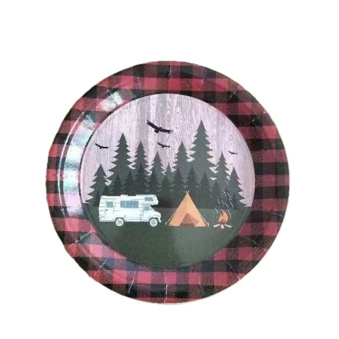 Articole Servire Masa - Set 10 Farfurii Unica Folosinta, 23 cm, Model Camping, Multicolor