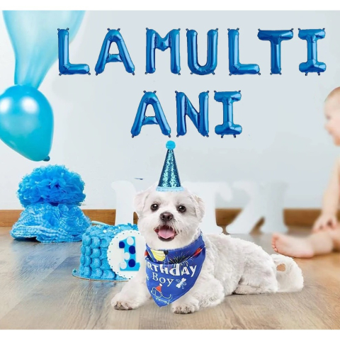 Set 10 Baloane din Folie Metalizata, Figurine Litere, Model La multi ani, Tema Aniversare, 40 cm, Ambalaj Individual, Pai Inclus, Umflare cu Aer sau Heliu, Albastru [1]