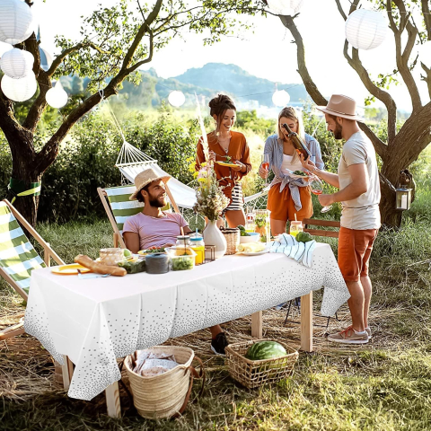 Fata de Masa, din PEVA, Imprimeu Buline, 137 x 274 cm, Impermeabila, Fara Pete, Curatare Rapida, Argintiu [2]