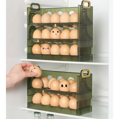 Suport Organizator pentru Oua, pentru Frigider, Verde transparent, Capacitate 20 oua, Doua straturi, cu Data de Expirare, 25.5x10x17 cm [4]