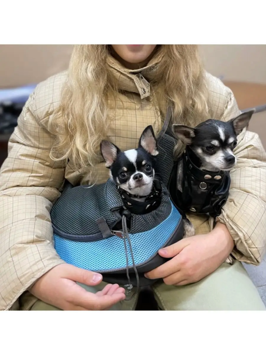 Geantă de transport pentru câini de talie mică și pisici [9]