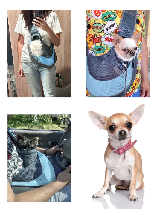 Geantă de transport pentru câini de talie mică și pisici [7]