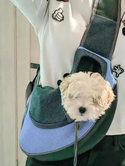 Geantă de transport pentru câini de talie mică și pisici [6]