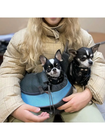 Geantă de transport pentru câini de talie mică și pisici [8]