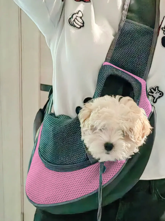 Geantă de transport pentru câini de talie mică și pisici [5]