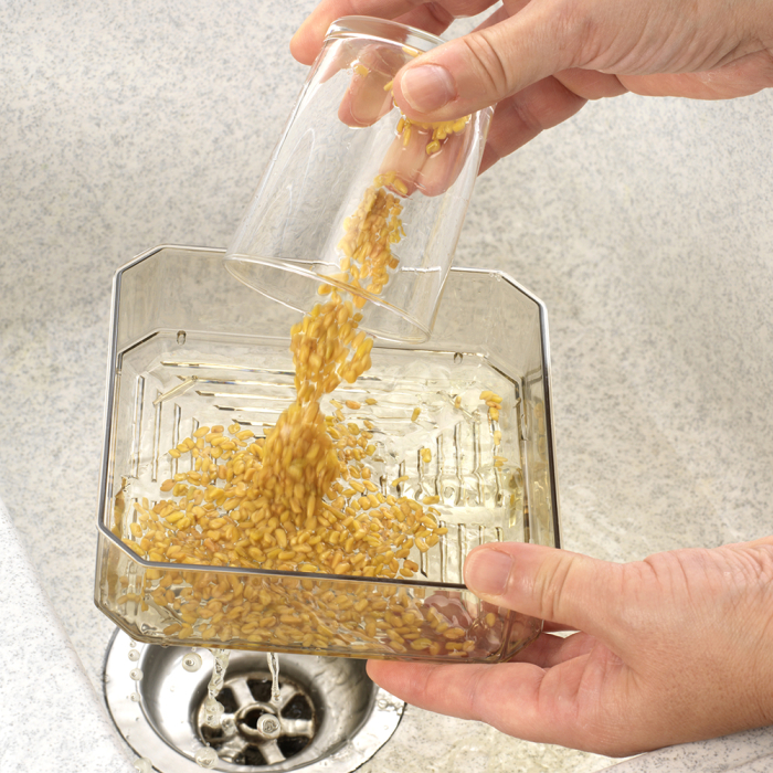 Germinator cu 2 tăvițe Germline [4]