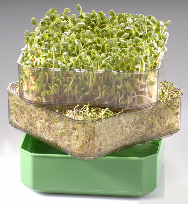 Germinator cu 2 tăvițe Germline [2]