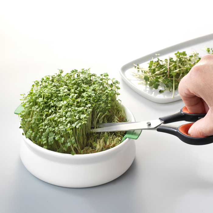 Vas de ceramică cu sită pentru germinarea semințelor mucilaginoase Germline [2]