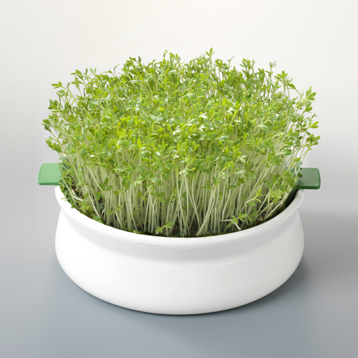 Vas de ceramică cu sită pentru germinarea semințelor mucilaginoase Germline [3]