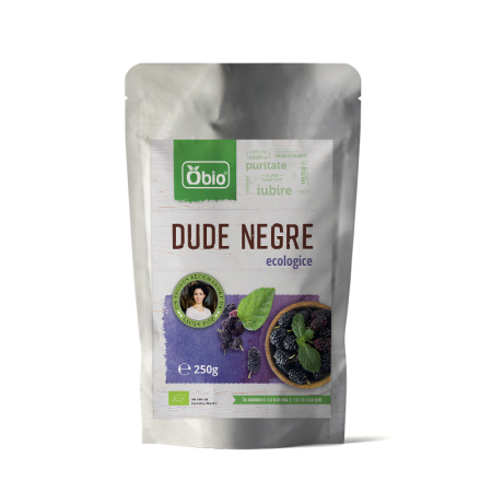 Nuci, Fructe și Legume Uscate - Dude negre deshidratate bio 250 g Obio