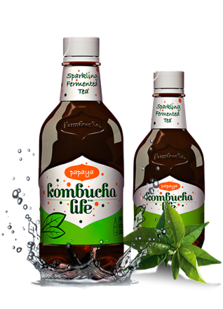 Băuturi, Sucuri, Înlocuitor Cafea, Kombucha - Kombucha cu papaya 500 ml Kombucha Life