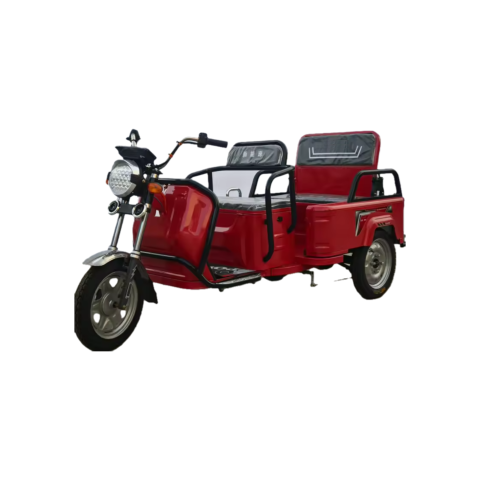 Tricicluri Electrice Ecoblis - Triciclu Electric cu 2 locuri 600W Visiniu