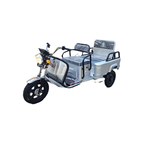 Triciclu Electric cu Bena sau 2 locuri 800W Argintiu [4]