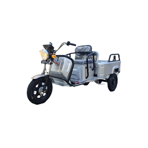 Tricicluri Electrice Ecoblis - Triciclu Electric cu Bena sau 2 locuri 800W Argintiu
