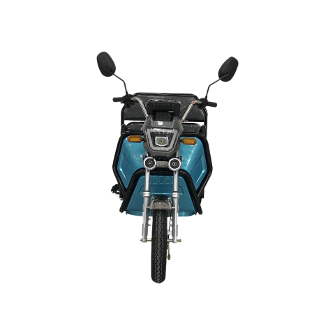 Triciclu Electric cu remorca Albastru - 800W [1]