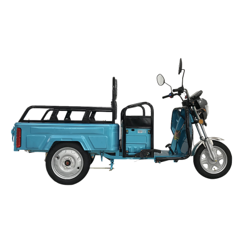 Triciclu Electric cu remorca Albastru - 800W [2]