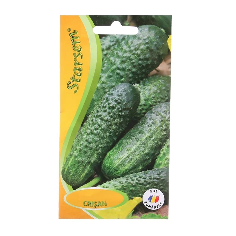 Seminte Castraveti Crisan Starsem Timpuriu 70-90 g [1]