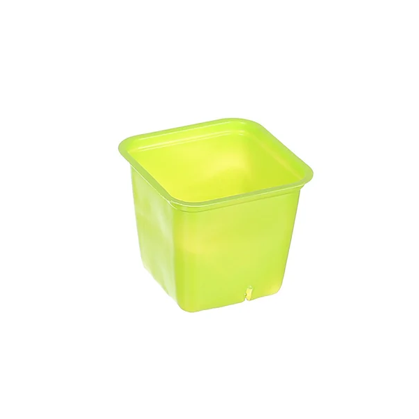 Ghiveci Rasad Polipropilena 6x6 cm Verde 100 ml [2]