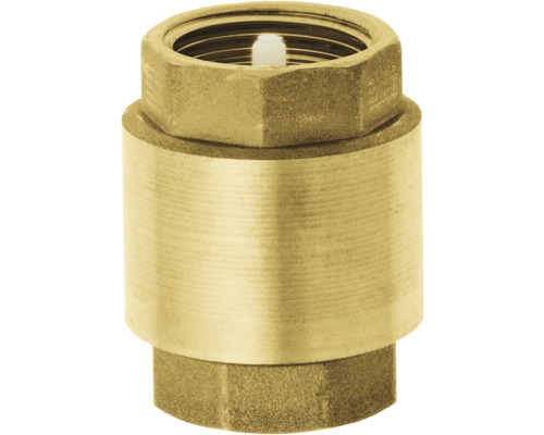 Supapa de Sens Alama 1'' - Clapa de Retinere Filet Interior Pompa [1]