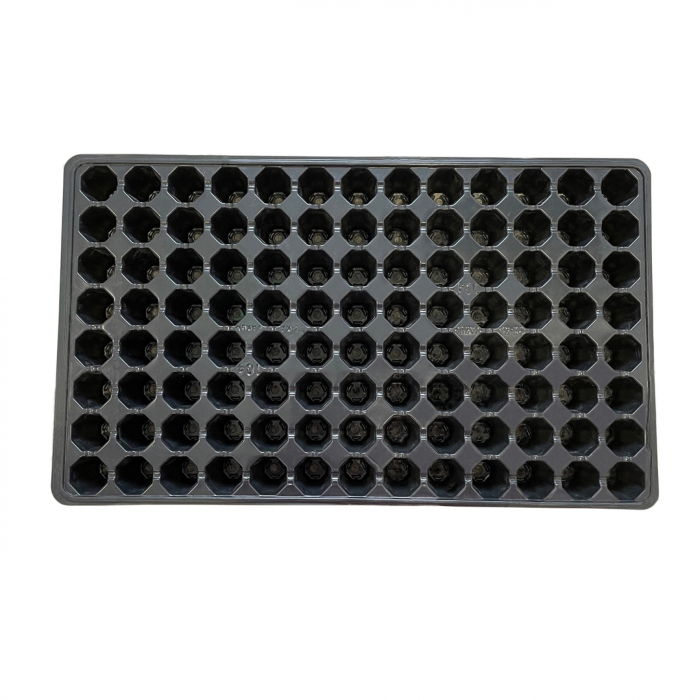 Alveola Rasad 104 Celule 51,5x31,5 cm Plastic PS [2]