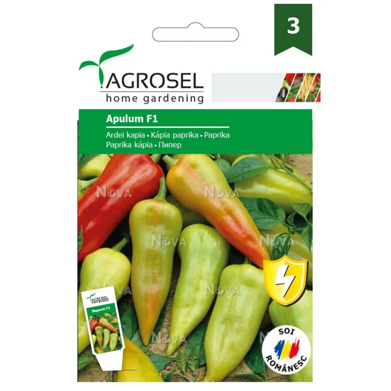 Seminte - Seminte ardei kapia Apulum F1 Agrosel soi timpuriu