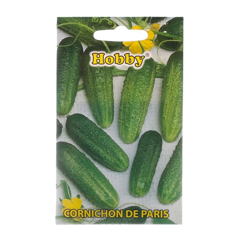 Seminte - Seminte Castraveti Cornichon de Paris Hobby 65 Zile