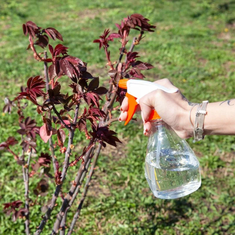 Pulverizator Manual 0.5L PVC Transparent pentru Stropit Plante [3]