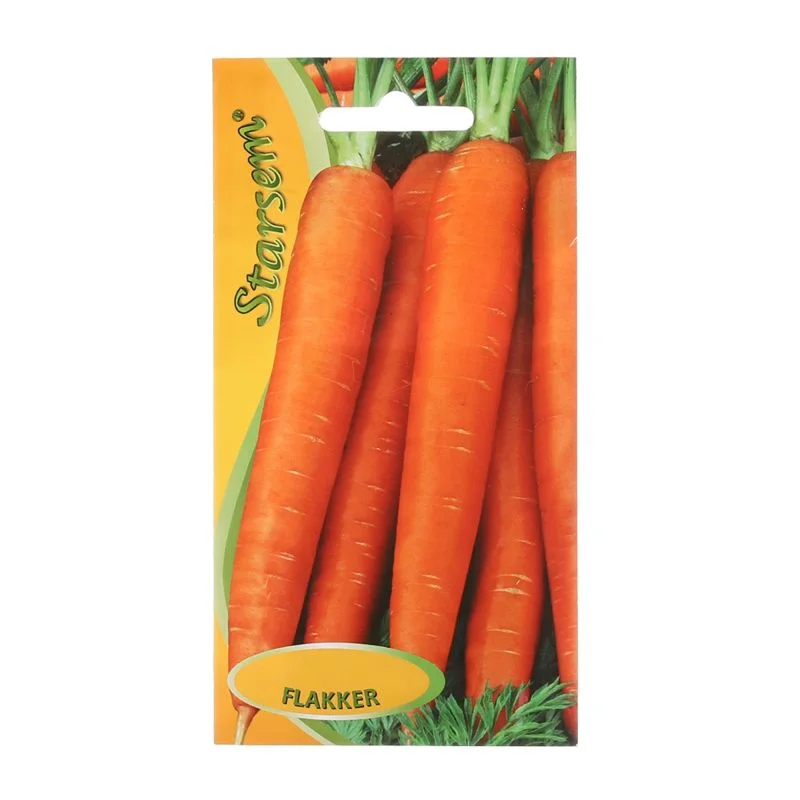 Seminte de morcov - Seminte morcov Flakker Starsem soi tardiv rezistent