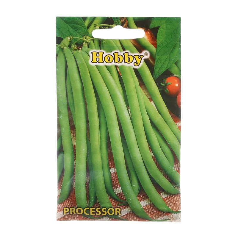Seminte de fasole - Seminte fasole verde Processor Hobby