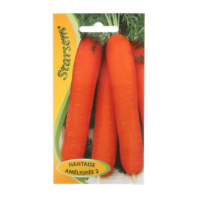 Seminte - Seminte morcov Nantaise Amelioree Starsem soi semitimpuriu