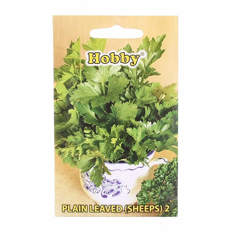 Seminte - Seminte Patrunjel Frunza Sheeps Hobby Verde Inchis