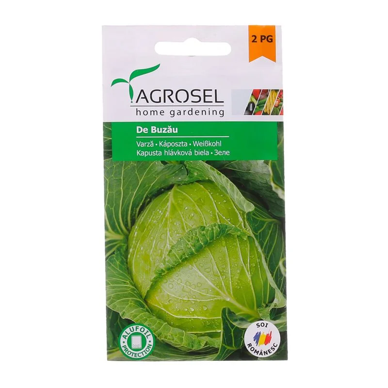 Seminte - Seminte varza de Buzau Agrosel soi tardiv rezistent