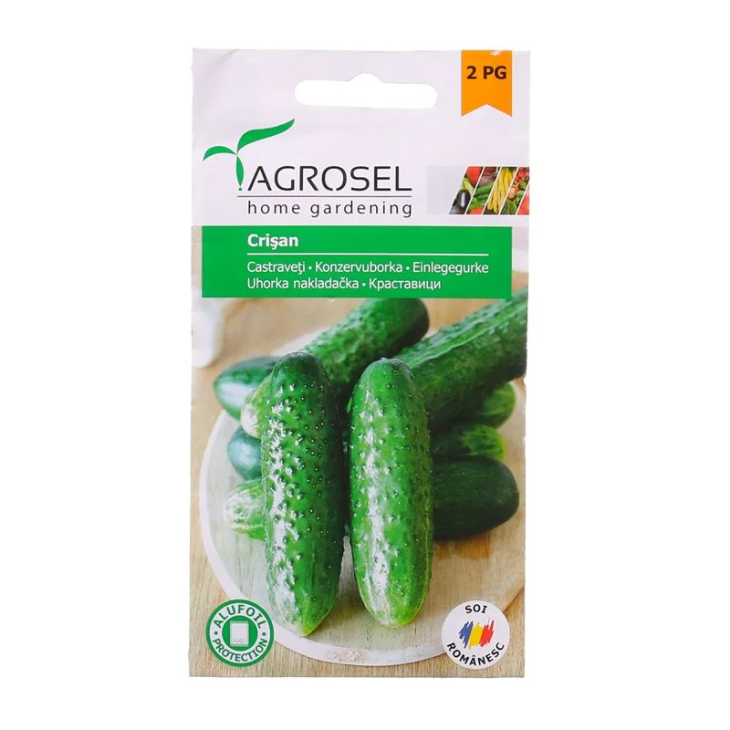 Seminte de castraveti - Seminte castraveti Crisan Agrosel, soi timpuriu