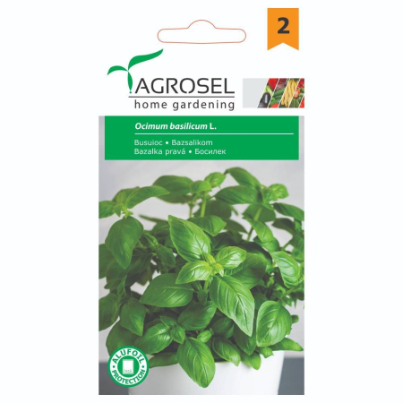 Seminte - Seminte busuioc aromat - imagine frunze mari productive