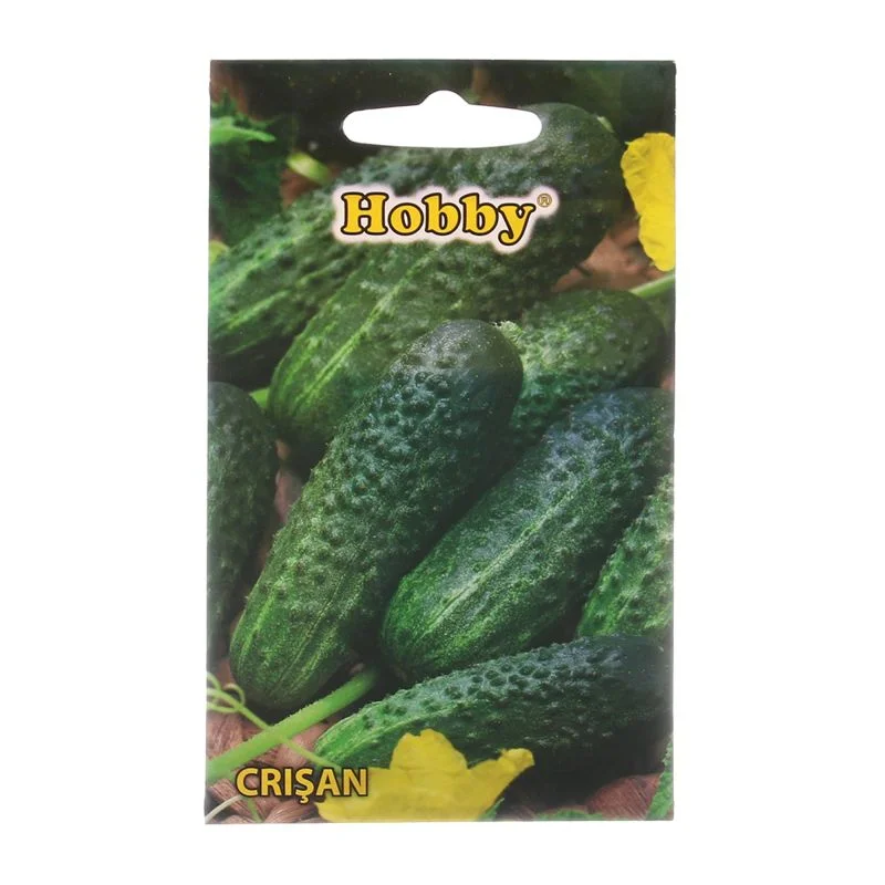 Seminte - Seminte castraveti Crisan - imagine soi timpuriu verde inchis