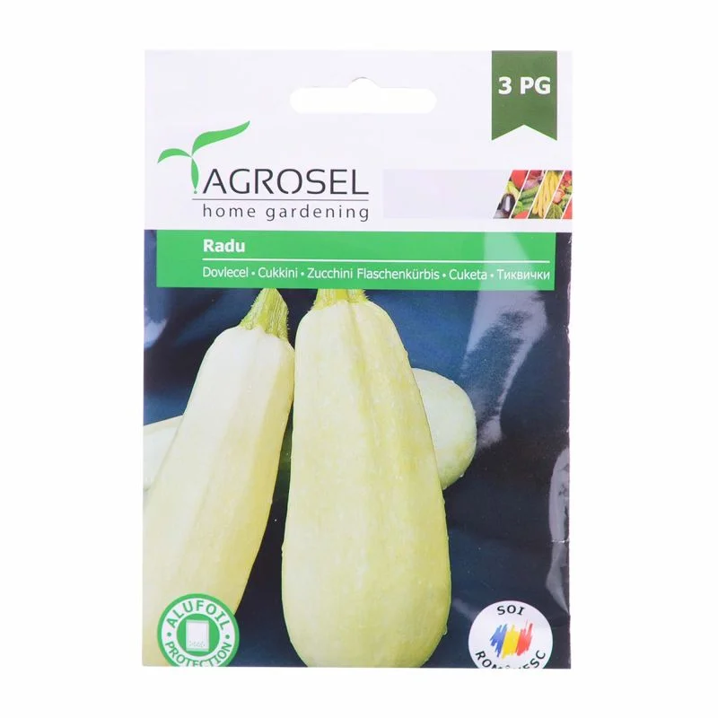 Seminte - Seminte dovlecel Radu - imagine soi timpuriu verde deschis