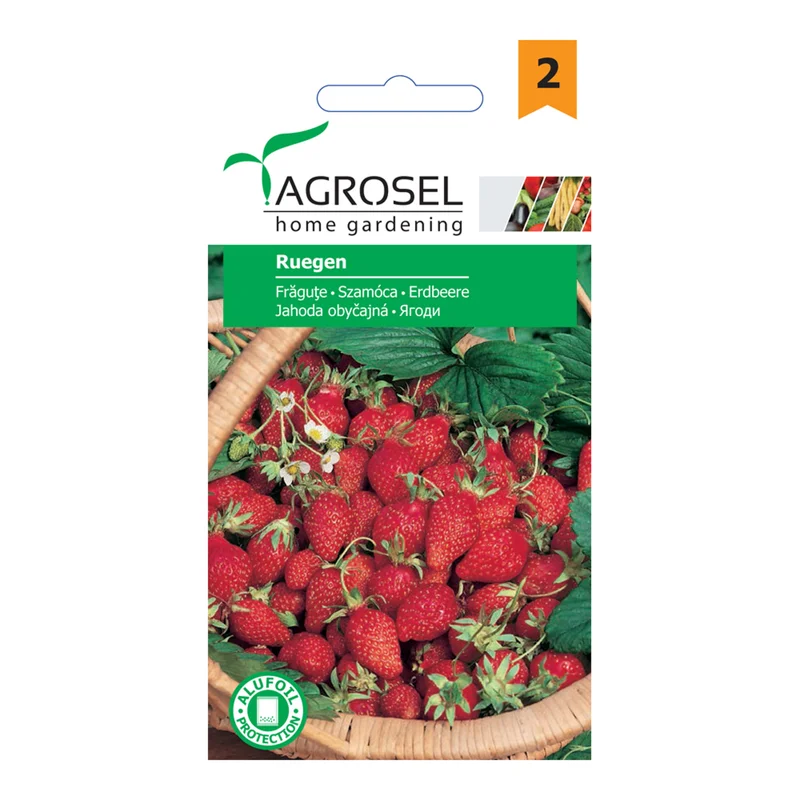 Seminte - Seminte fragute Ruegen Agrosel - imagine fructe rosii perene