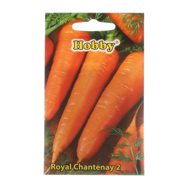 Seminte - Seminte Morcov Royal Chantenay Hobby 85-90 Zile