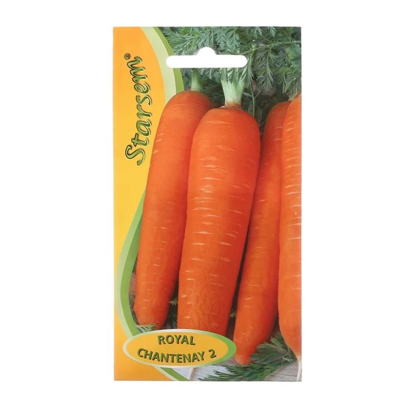 Seminte - Seminte morcov Royal Chantenay Starsem soi timpuriu