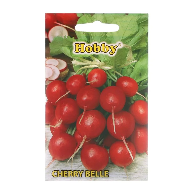 Seminte - Seminte ridichi Cherry Belle - imagine ridichi rosii soi timpuriu