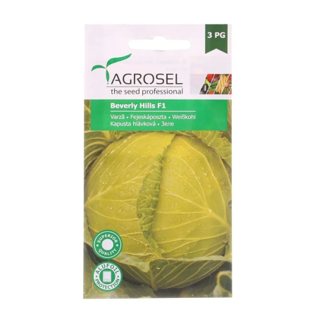 Seminte de varza - Seminte varza alba Beverly Hills F1 Agrosel - imagine produs hibrid rezistent