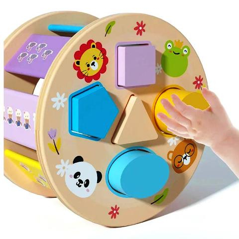 Jucărie de Tras Melc Din Lemn cu Sortator de Forme [4]