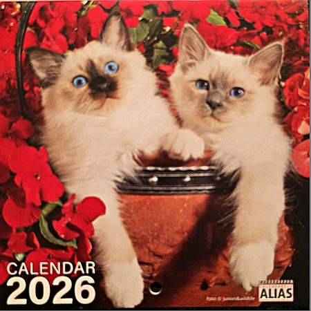 Hobby - Mini calendar capsat 2026 - Pisici