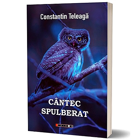 Beletristică - Cântec spulberat