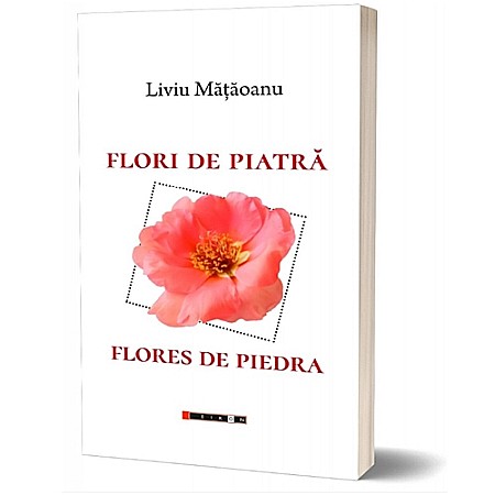 Poezie - Flori de piatră / Flores de piedra