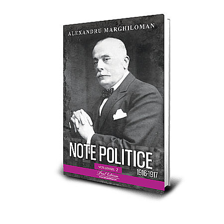 Cărți - Note politice (1916-1917), vol. 2