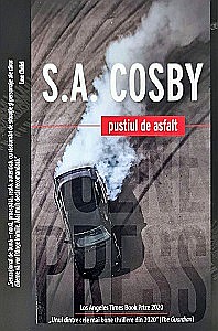 Proză - Pustiul de asfalt